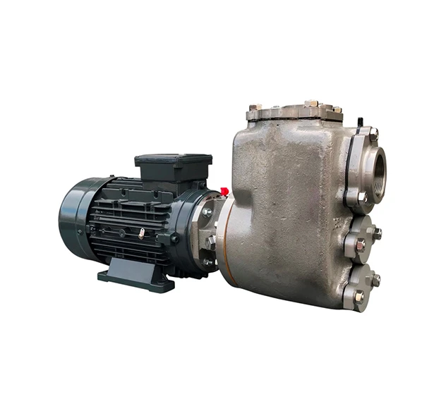 A picture of our BBA Self Priming Centrifugal Pump in Stainless Steel