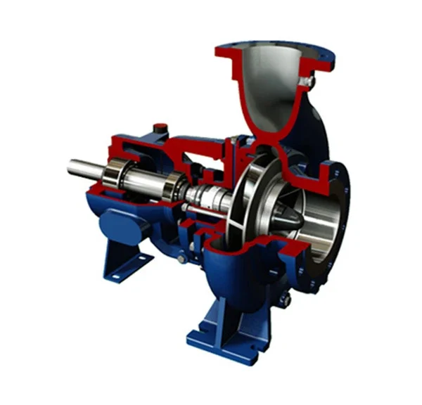 Salvatore Robuschi Pumps