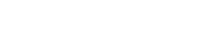 Lowara logo